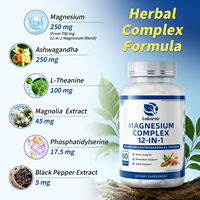 Suplemento de Magnesio 90 Cápsulas L-Teanina Ashwagandha Apoyo para el Estrés y el Sueño Suplemento Herbal 2 Cápsulas por Porción 24 Meses