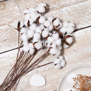 Ramo de Algodón Seco Artificial, Flor de Algodón de una o Varias Cabezas, Decoración para el Hogar, Adornos, Accesorios de Fotografía - Product Image 2