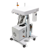 Compresseur d'air silencieux de haute qualité Lexison Veterinary Equipment PAC-GAP 300 pour chariot d'unité dentaire mobile