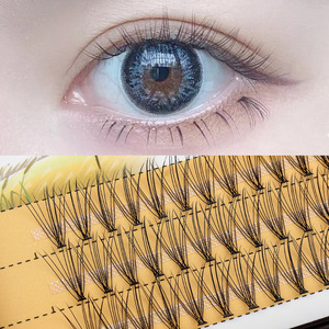 Épouvantail transfrontalier à grappe unique 0.1-<span class=keywords><strong>10</strong></span> cheveux greffés naturels faux cils volume fibre plantation cils Vente en gros - Product Image 3