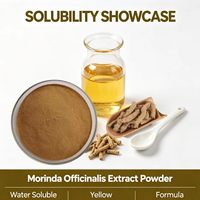 Extrait de racine de Morinda Officinalis en poudre 10:1, matière première végétale hydrosoluble, échantillon gratuit Ink Tide Biotech