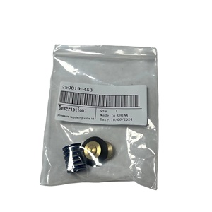 Kit de Servicio para Compresores Industriales Manny 250019-453 con Válvula Reguladora - Product Image 1