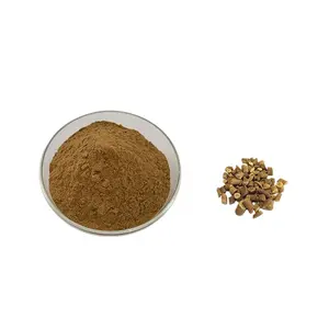 Di alta qualità isatis radice/isatis estratto di radice in polvere per la medicina tradizionale cinese