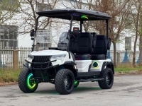 Carrito de Golf Eléctrico de 6 Plazas, 220V, Batería de Litio, Controlador Curtis, 4WD, Utilitario, CE DOT, Marco de Aluminio