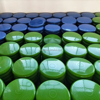 Disco de Equilibrio Inflable, Cojín de Entrenamiento de Piernas para Gimnasio en Casa, Equipo de Fitness para Estabilidad, Deportes y Entretenimiento