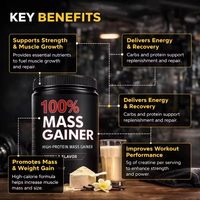 Poudre de prise de masse 100% pour adultes, saveur vanille, riche en protéines et en calories, soutient la prise de poids et la croissance musculaire, 500g