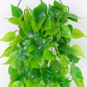 Vignes artificielles en lierre Xin Rongxin, 105 cm, en plastique, verdure suspendue pour la décoration intérieure, décoration murale - Product Image 4