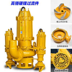 Pompes industrielles et équipement de dragage en Chine - Product Image 2