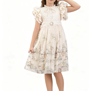 Abito da <span class=keywords><strong>ballo</strong></span> elegante da ragazza con maniche arricciate con stampa a inchiostro cinese farfallino-per il compleanno di nozze della festa della principessa (SA5933) - Product Image 1