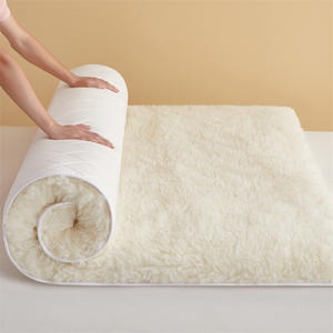 Matelas en laine, <span class=keywords><strong>couverture</strong></span> en laine d'agneau rembourrée, simple, hiver, épaissi, chaud, antibactérien, désodorisant, chauffage rapide - Product Image 1