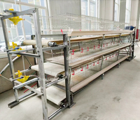 Cage semi-automatique pour poulets de chair de type H à vendre pour l'élevage de poulets