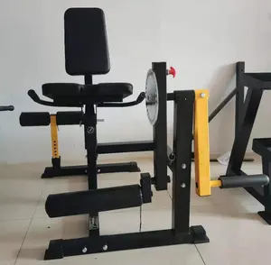 High Power Gym Exercise Equipment Leg Extension