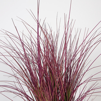 Plante artificielle en pot de 60 cm de haut, roseau en plastique rouge, vente en gros de plantes artificielles d'intérieur pour la décoration de la maison