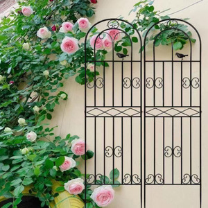 Arco de Metal Oniya para Plantas Trepadoras, Soporte para Rosas, Decoración de Jardín, Valla para Flores y Plantas en Espiral - Product Image 4