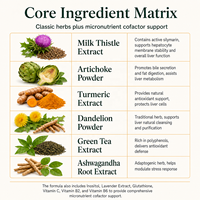 ACORN OEM Complément alimentaire quotidien pour la santé métabolique et le soutien hépatique avec Chardon-Marie et Pissenlit