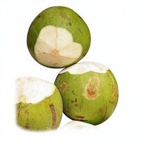 น้ำมะพร้าวหวานบริสุทธิ์ ชุ่มชื้น อ่อนหวาน คัดสรรอย่างดีเพื่อรสชาติที่ดีที่สุด มีคุณค่าทางโภชนาการ เกรดเอ สดใหม่ 1.2 กก. ประเทศไทย - Product Image 1