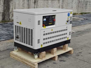 Gas <b>Generator</b> 20KW 30KW High Efficiency Silent <b>Generators</b> Set Industrial Power Equipment CNG/LNG/LPG Supported GAG Gas <b>Generator</b> - Product Image 6