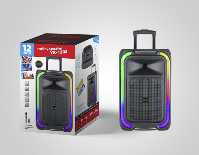 Factory Trolley 12" Rechargeable Portable Outdoor Party Speaker RGB LED Lighting BT Mic Charging for Home Computer Radio Box