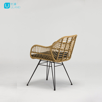 Chaise en osier antique Uland, chaise en rotin de jardin, chaise de salle à manger en osier et acier, meubles en rotin d'extérieur rembourrés