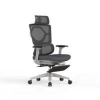 Chaise de bureau ergonomique inclinable réglable, directement de l'usine, échantillon personnalisé disponible, design élégant, excellent rapport qualité-prix, pour l'école