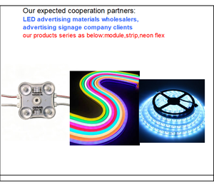 Módulo LED de 12V 2W con lente y alta eficiencia luminosa, adecuado para señalización exterior y cajas de luz. - Product Image 3