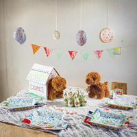 Hunde-Party-Geschenke Umweltfreundliche Starre Schachteln Weiße Rechteckige Kartonboxen mit Löchern und Griff Individuelles Logo Welpen Haustier