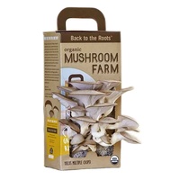 Boîte d'emballage de champignon ondulé avec logo d'impression personnalisé boîte de champignon en carton