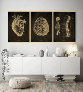 Póster <span class=keywords><strong>de</strong></span> Pared con Diseño <span class=keywords><strong>de</strong></span> <span class=keywords><strong>Esqueleto</strong></span> Anatómico Impreso Personalizado en Papel Kraft para Decoración Médica del Hogar, Producto <span class=keywords><strong>de</strong></span> Impresión en Papel y <span class=keywords><strong>Cartón</strong></span> - Product Image 3