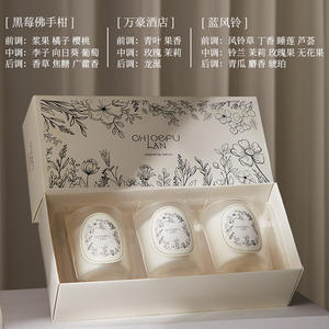 Ensemble cadeau de bougies d'aromathérapie haut de gamme en gros, lot de 3, faites <span class=keywords><strong>à</strong></span> <span class=keywords><strong>la</strong></span> main, en cire de soja, dans des pots en verre, parfum de <span class=keywords><strong>montagne</strong></span> personnalisé pour - Product Image 3