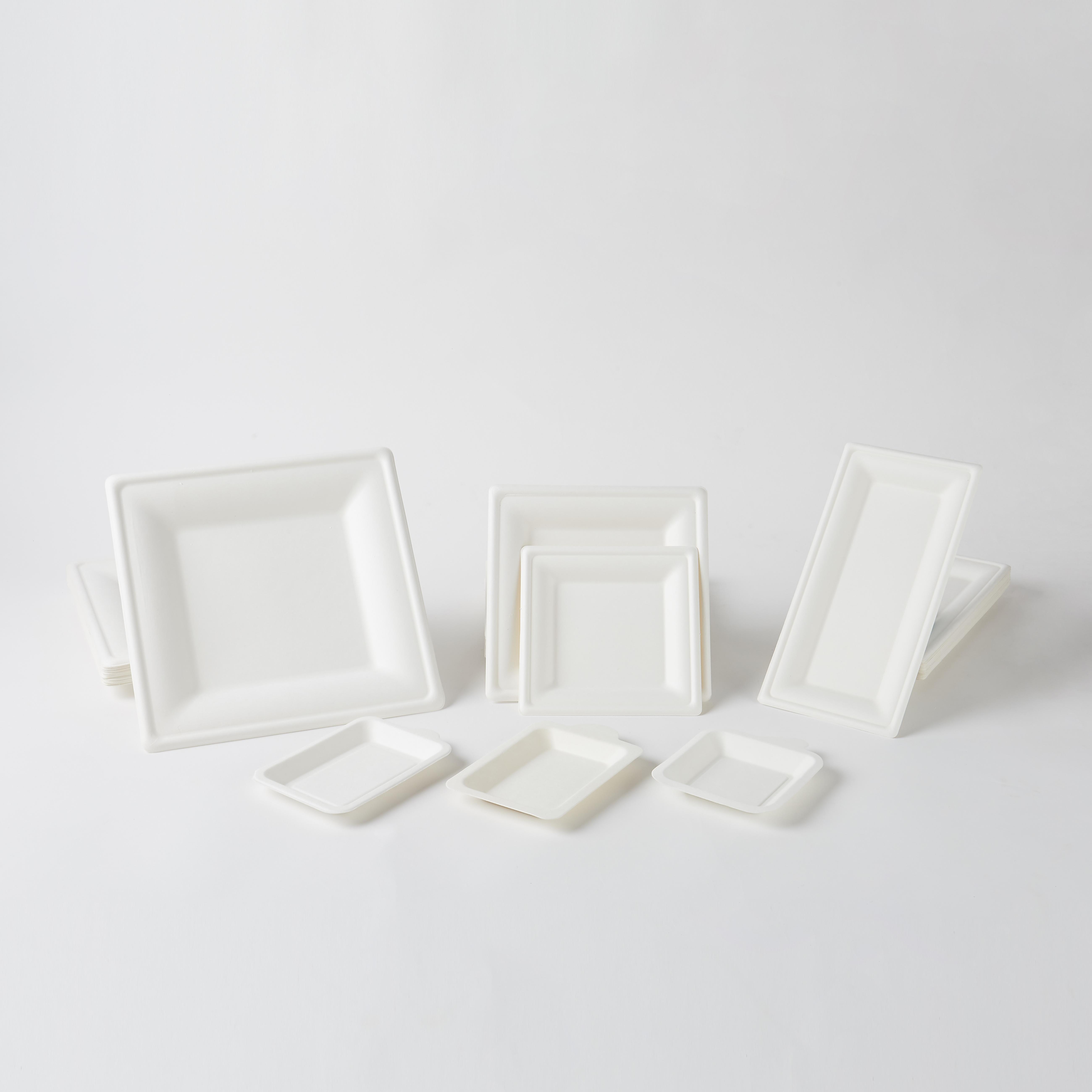 Hot Sale Compostable Dishes Sugarcane Bagasse Biodegradable Vegetable Meat Dishes Biodegradable Bagasse Eco Meat Tray