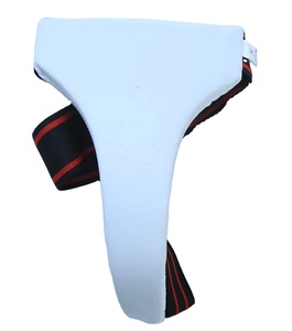 Protector de Taekwondo 2026, Equipo de Entrenamiento de Artes Marciales, Protector Inguinal Femenino para Taekwondo - Product Image 1