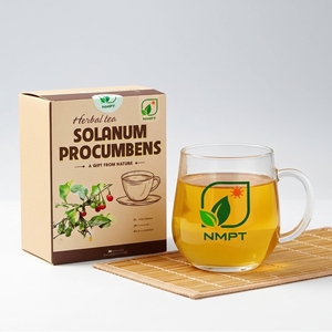 ชาสมุนไพร NMPT แบรนด์ Solanum Procumbens ชา Ca Gai Leo แบบซอง รับผลิตแบบ OEM ODM ชาสมุนไพรฉลากส่วนตัวสำหรับเจ้าของแบรนด์ - Product Image 6