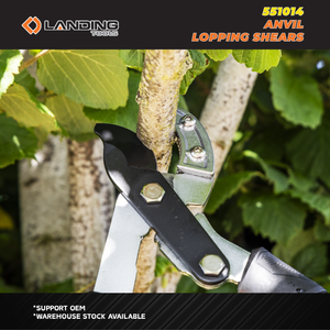 Cisaille à étau robuste de 30 pouces avec mécanisme d'engrenage pour couper les branches de bois mortes et séchées - Product Image 3