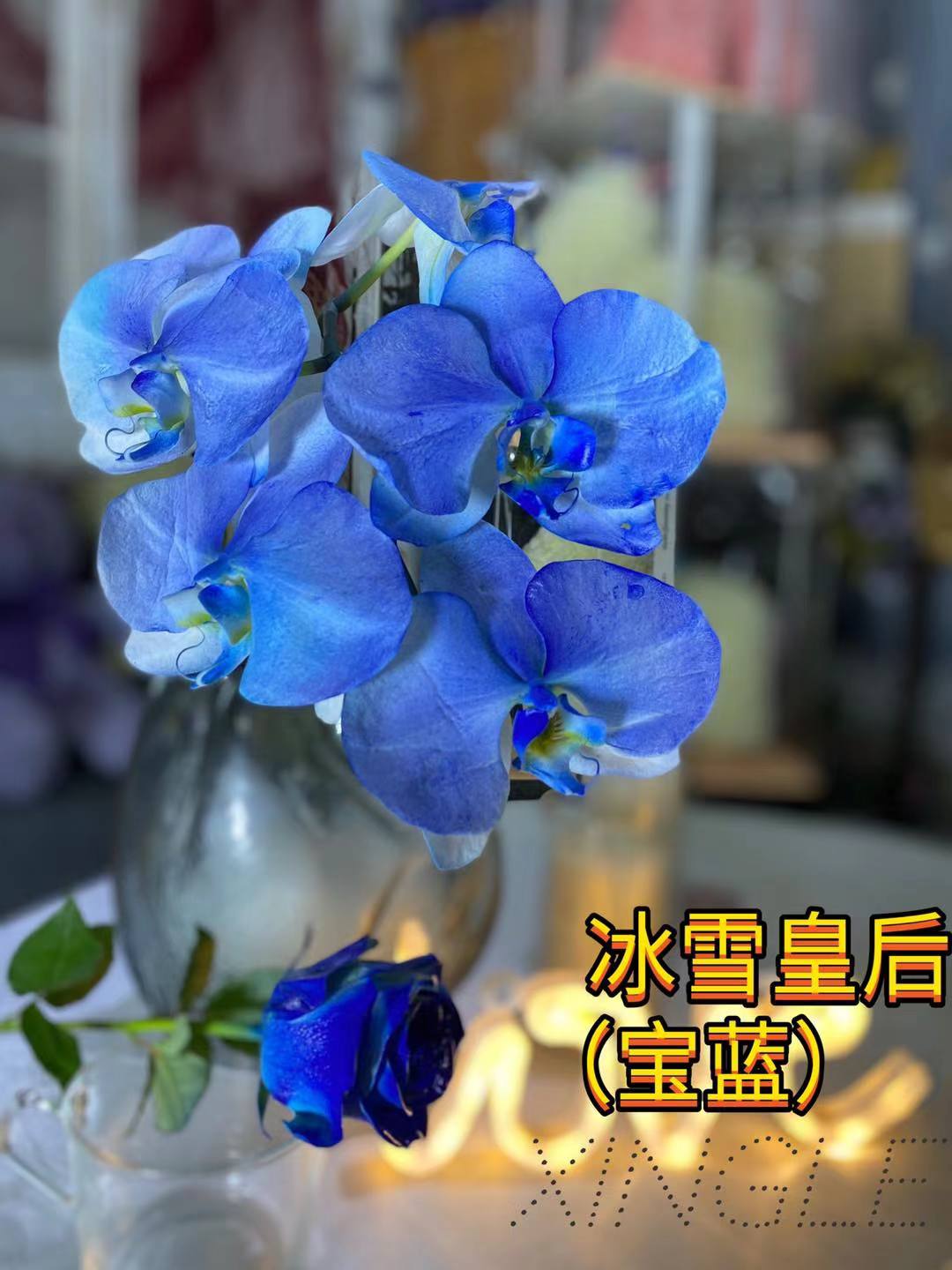 Sauer blue (regina di ghiaccio)