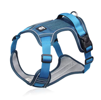 Fournitures pour animaux de compagnie : Ensemble laisse et harnais pour chien, personnalisable avec logo de marque, harnais gilet anti-traction de luxe pour chiens de taille moyenne à grande