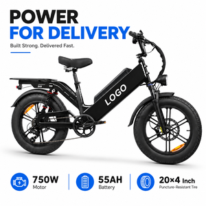 Bicicleta Eléctrica de Montaña Personalizada con Logotipo, Impermeable, 750W, Potente, con Neumáticos Gruesos de 20 Pulgadas, para Servicio de Entrega - Product Image 1