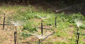 Excellent système d'irrigation <span class=keywords><strong>goutte</strong></span>-<span class=keywords><strong>à</strong></span>-<span class=keywords><strong>goutte</strong></span> réglable avec piquet bulleur en plastique, émetteur d'eau avec verrouillage pour <span class=keywords><strong>tuyau</strong></span> - Product Image 3