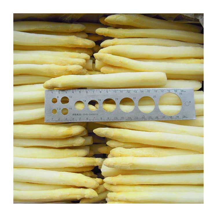 Bulk Fresh & Frozen IQF White Asparagus Certified Vegetables Frozen White Asparagus for Easy Use