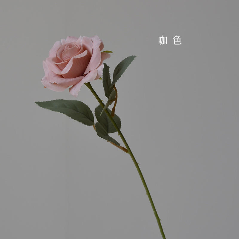 สีน้ำตาล