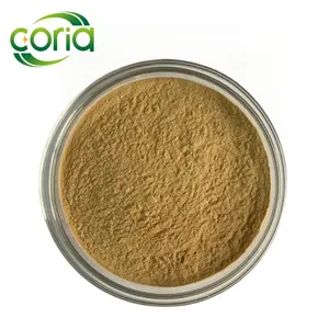 Wholesale Price 100% Organic Ginger Powder Best Price Food Grade Ginger Powder