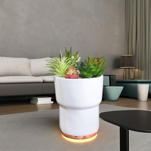 Hôtel Maison Aromathérapie Humidificateur <span class=keywords><strong>En</strong></span> <span class=keywords><strong>Pot</strong></span> <span class=keywords><strong>Plante</strong></span> <span class=keywords><strong>En</strong></span> Forme De Diffuseur D'huiles Essentielles <span class=keywords><strong>En</strong></span> Plastique Installation De Table pour Voiture Extérieure YS - Product Image 6