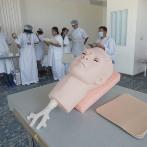<span class=keywords><strong>Crico</strong></span>-Modèle de ponction thyroïdienne Science médicale Mannequin d'injection de soins infirmiers Modèle anatomique en PVC pour écoles et hôpitaux - Product Image 4