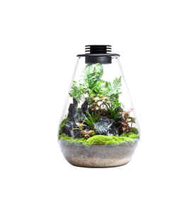 Biolark <span class=keywords><strong>Bouteille</strong></span> de <span class=keywords><strong>terrarium</strong></span> <span class=keywords><strong>en</strong></span> <span class=keywords><strong>verre</strong></span> scellée avec couvercle <span class=keywords><strong>pour</strong></span> décoration de plantes, pot écologique <span class=keywords><strong>pour</strong></span> micro paysage (SD175/200) - Product Image 5