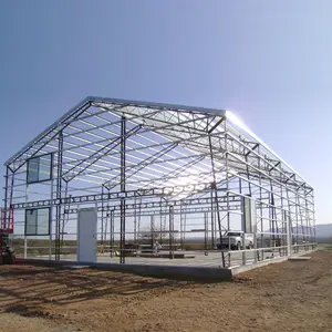 Steel Structures Frame Wedding Halls Workshop Layout Warehouse Kit Structure Prefabricated Building Metal Light Beam 3D Drawing