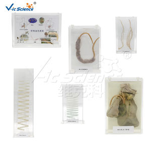 Minerales, Rocas y Especímenes para Educación y Investigación Geológica (18 Tipos) - Product Image 6