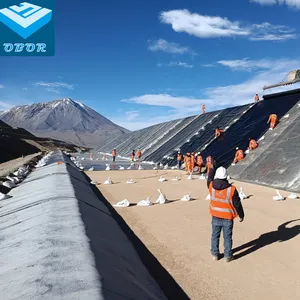 阿根廷大坝项目采矿用OBOR HDPE土工膜衬砌池塘衬砌大坝衬砌材料