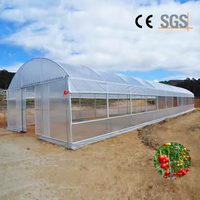 Grande serre agricole verticale à simple travée avec film PE et ventilation latérale et supérieure
