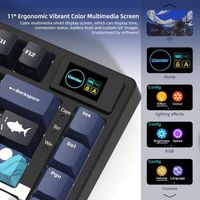 Clavier OEM ODM SK80 75 avec écran multimédia couleur, clavier de jeu, son crémeux, mécanique, filaire, hot-swappable, Gasket, RGB C