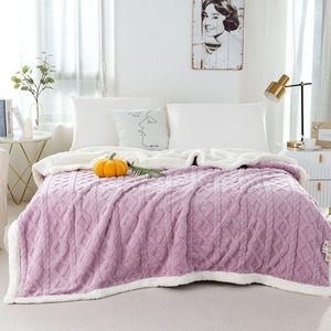 Taffel nhà sử dụng hai lớp Cừu lông cừu chăn màu rắn với Nap falai in dày trải giường để phát sóng trực tiếp - Product Image 2