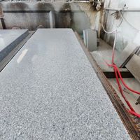 Dalles de granit blanc sésame G303 modernes à prix super bas direct usine, surface sablée, pour revêtements de sol de bâtiments hospitaliers, garantie 5 ans